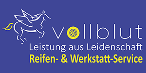 Vollblut Service GmbH: Ihre Kfz-Werkstatt in Ratzeburg